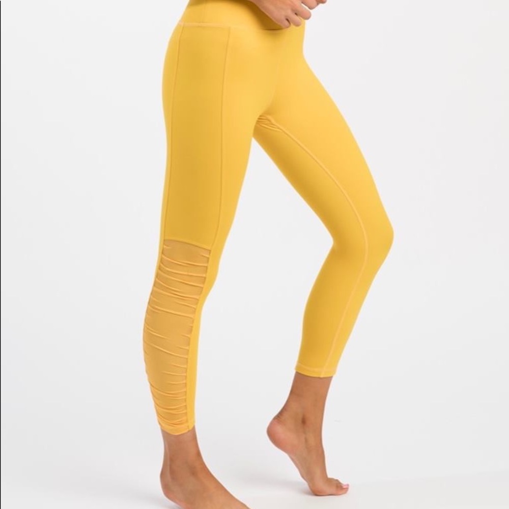 🌼 Daffodil Mesh Light n Tight Hi-Rise 6-8